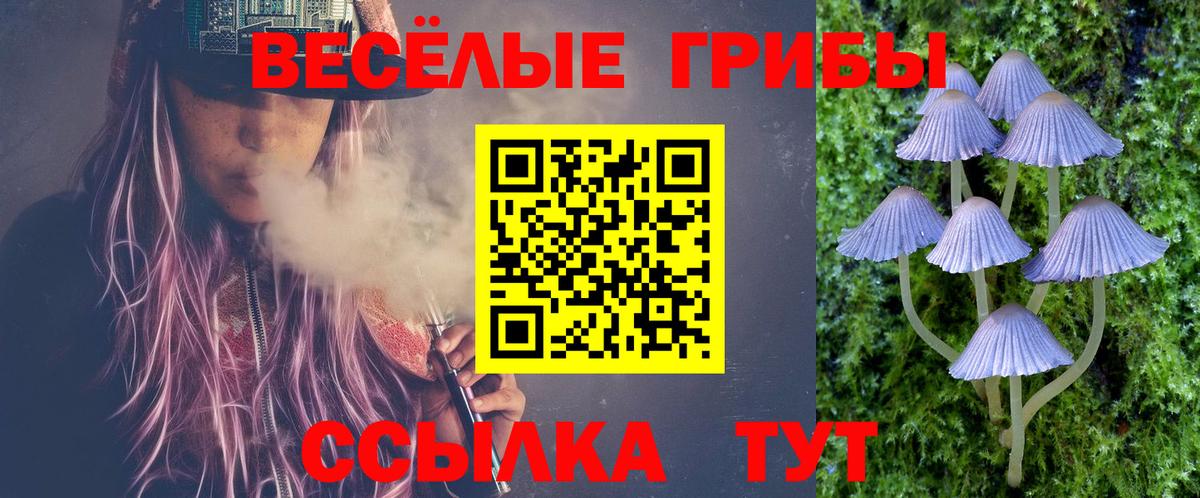Псилоцибиновые грибы Magic Shrooms Михайловка