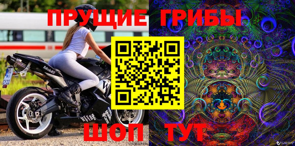 Михайловка  Галлюциногенные грибы Cubensis  Галлюциногенные грибы мицелий  Вход с VPN 